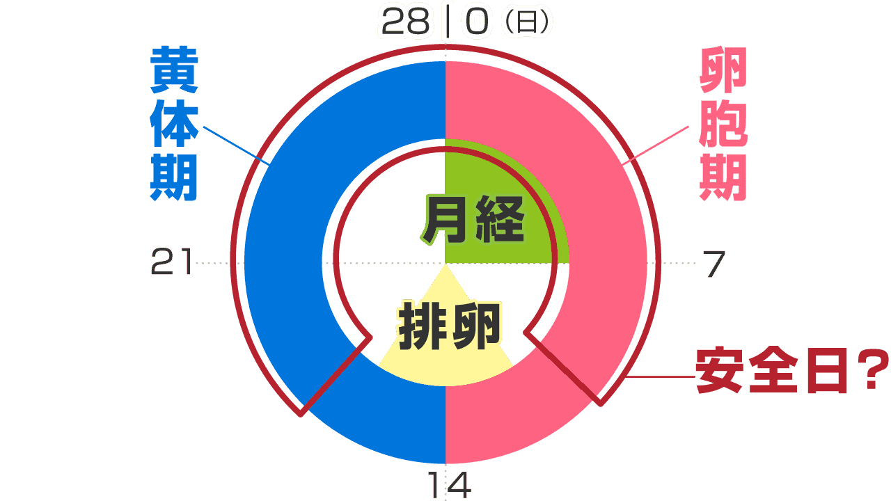 先生、えっちなことしよ？ ～ぼくの部屋で先生と中出しセックス～|無料・立ち読みもある女性のための電子コミックサイト【エルラブ】