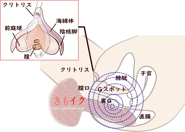 初めてのセックスでも失敗しない！知っておきたいエッチの流れとやり方を解説