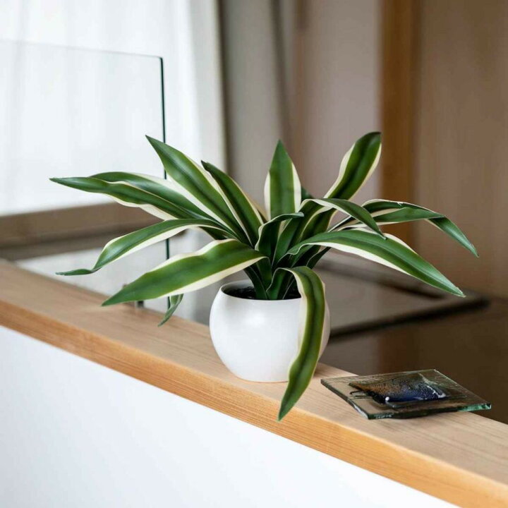 人工観葉植物 モンステラ デコ ウォールハンキング 高さ60cmP23-99558代引き不可インテリアグリーン フェイクグリーンフェイクグリーン 鉢付き おしゃれ ヒメモンス ハンギングポット ミニ 4号 モンステラ 人工観葉植物 鉢植え インテリアグリーン 卓上 室内