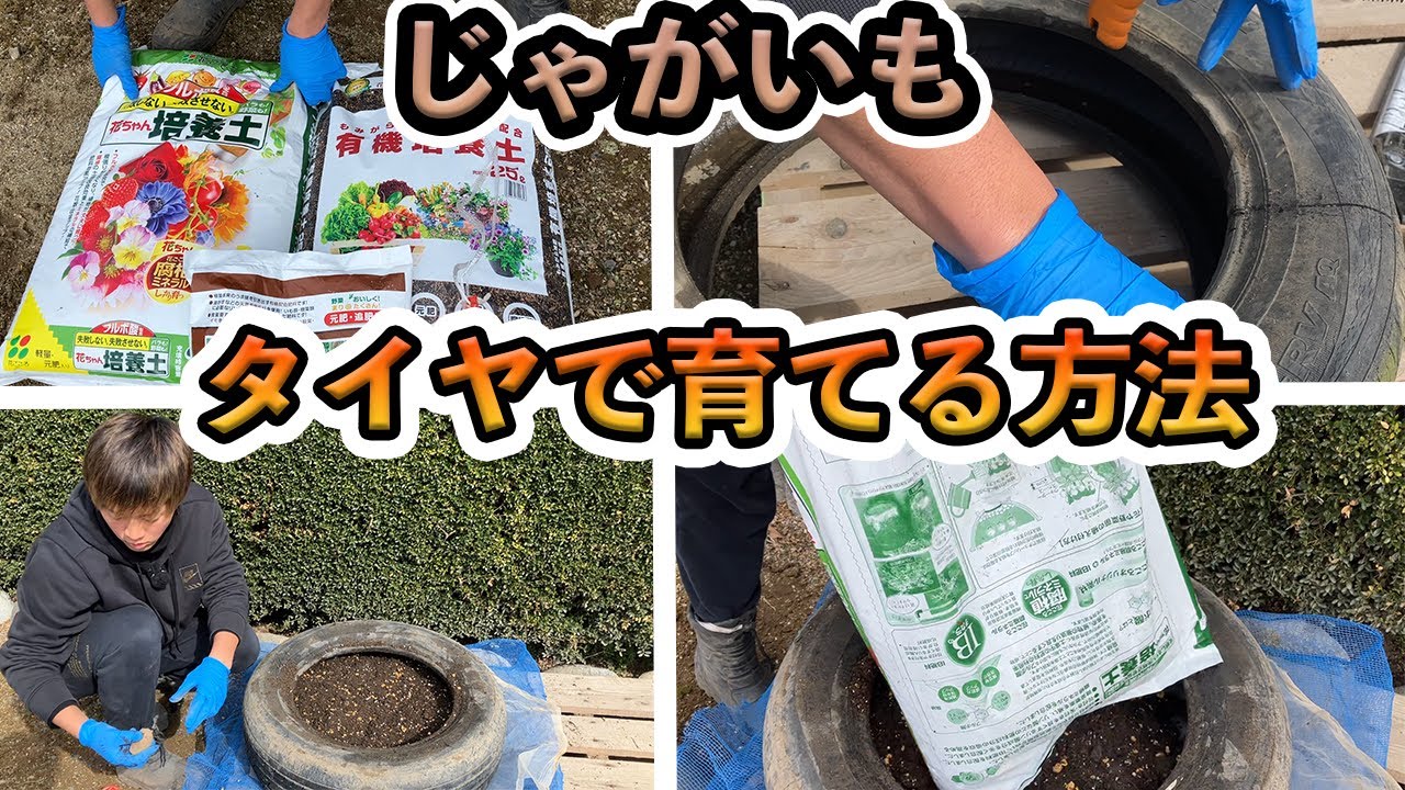 タイヤプランター 作り方TikTok