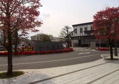 群馬）駅前にずらり「バス停の墓場」 東武線の細谷駅 [群馬県]：朝日新聞デジタル