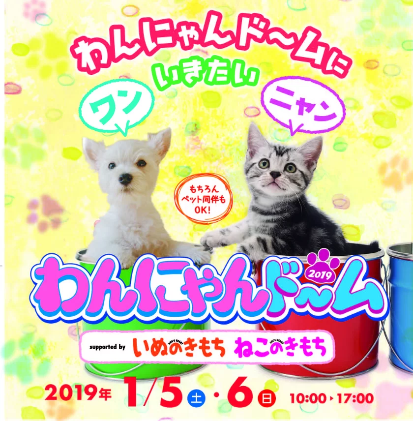 🐱6月4日13:00~22:00にゃんにゃんイベント🐱 – BLUE EGG NAGOYA（ブルーエッグ