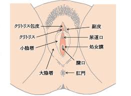 四つん這いクンニとは？やり方と女性を喜ばせるコツを紹介 | 梅田の風俗・ホテヘルなら未経験娘在籍店【スパーク梅田】