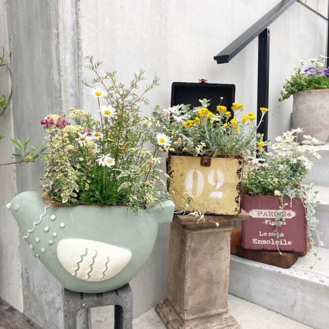 植木鉢 おしゃれ プランター 人気 観葉植物 ポット 器 観葉鉢 陶器鉢 インテリア 園芸用品 寄せ植え 花 お洒落 アンティーク風 ガーデナーポット6号 3個セット 玄関寄せ植えの通販花・ガーデニングの価格比較ならビカム