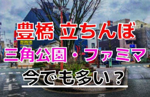 立ちんぼって知ってる！？ 外人とカーS〇Xした話 :