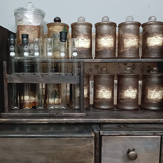 ダイソーの100均試験管で多肉植物の水挿し発根 ^^♪☆園芸のアイデア暮らしニスタ