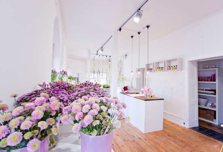 アレンズ春のディスプレイまつり ニュース＆ブログ めがねの荒木:横須賀 逗子 葉山 久里浜のメガネ 眼鏡補聴器 サングラス コンタクト