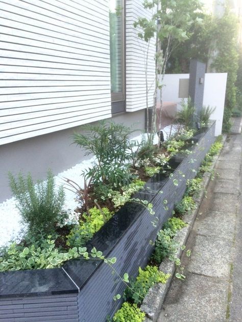 玄関脇の花壇アラフィフのオッサンが一人で庭いじりするブログ - 楽天ブログ