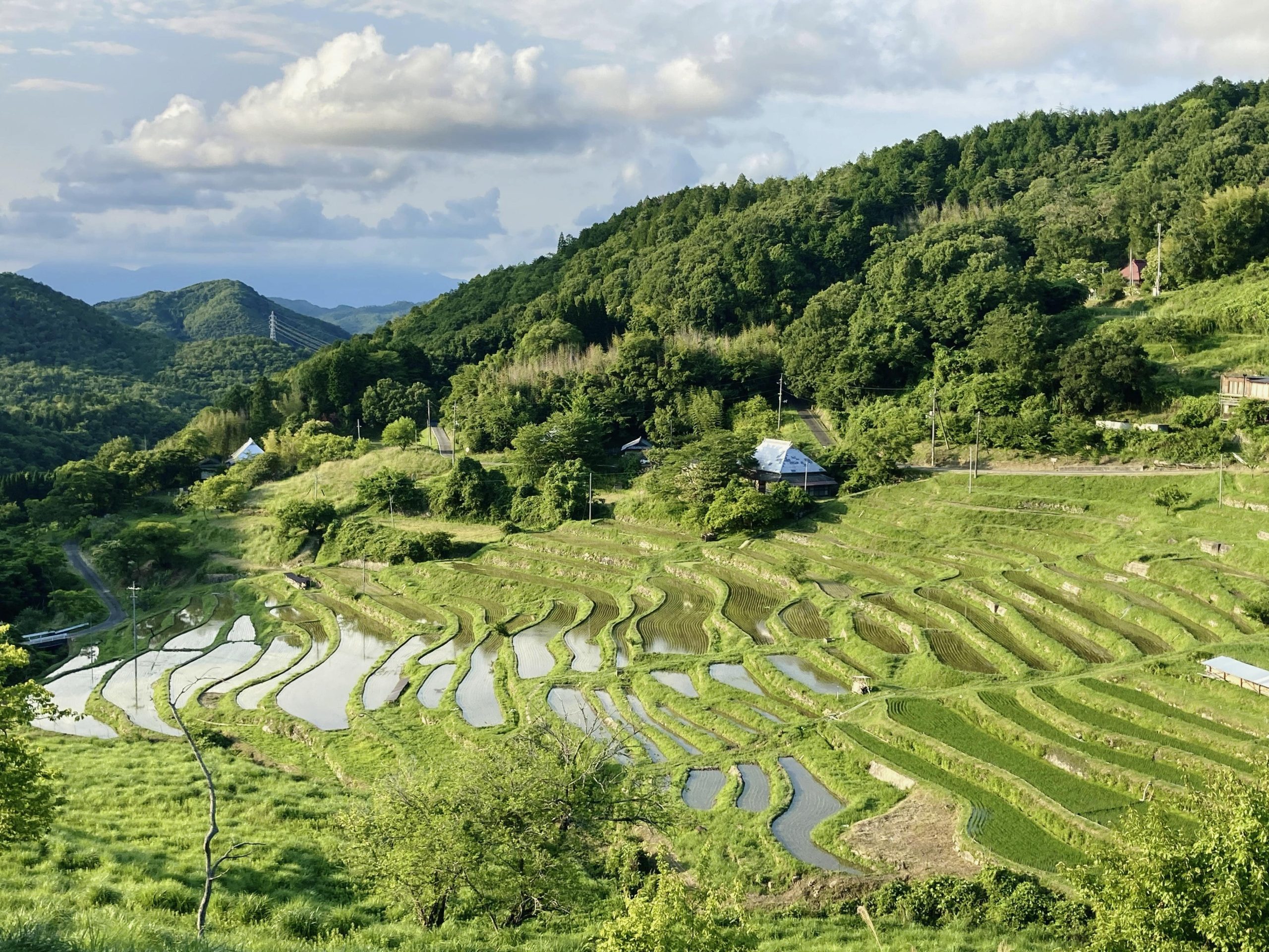 建築デザインコース » 卒業制作 » Tanada Museum 棚田のこれまでとこれからを知る資料館