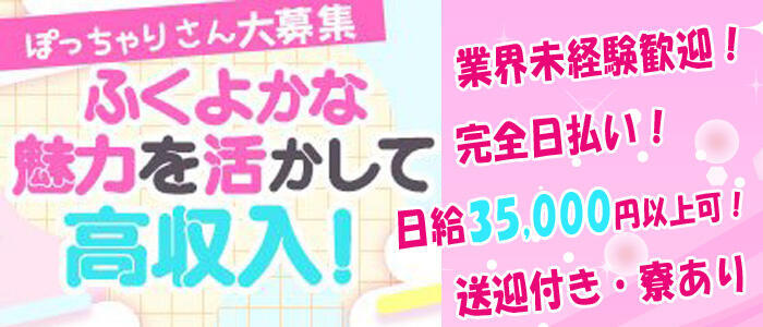 多治見・土岐・春日井ちゃんこ ｜多治見・美濃加茂 | 風俗求人『Qプリ』