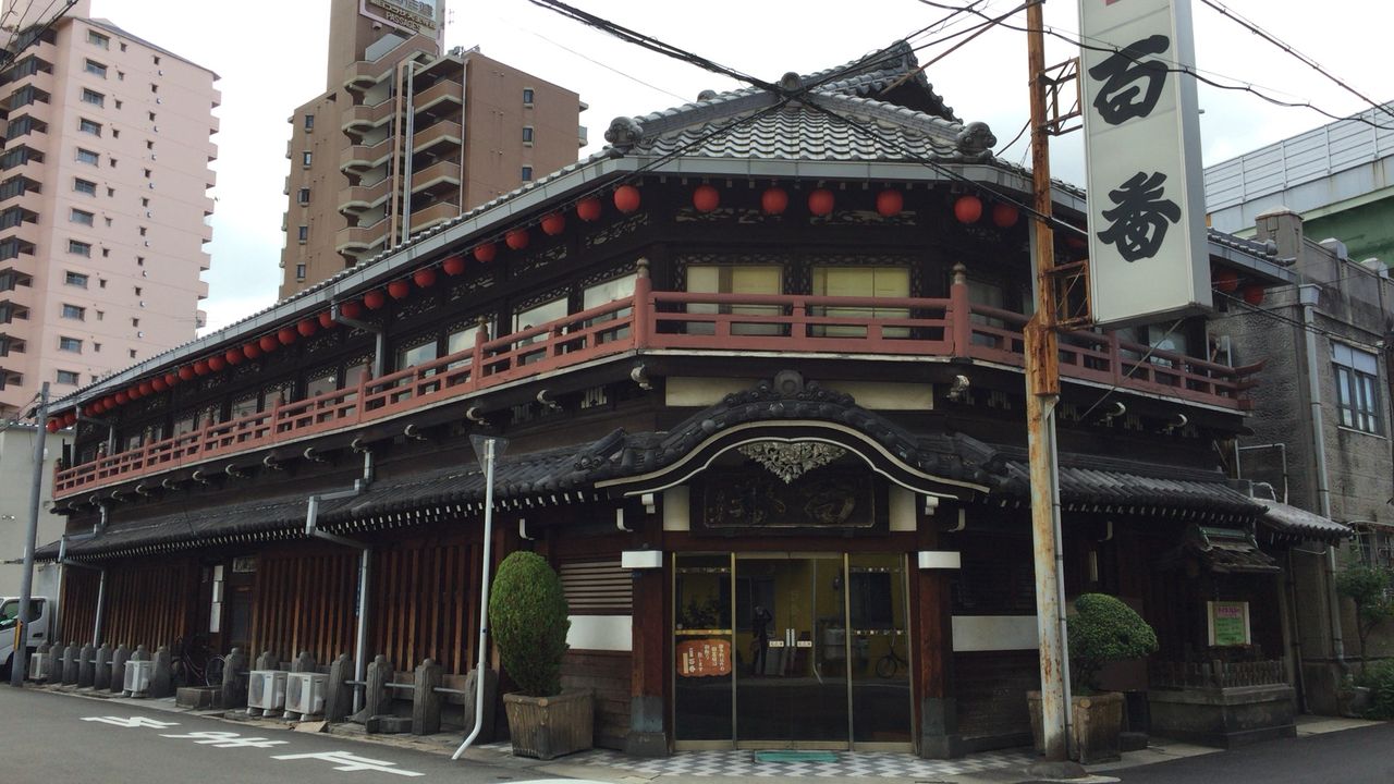 青春通り、飛田会館の桜🌸🍒さくらんぼの木なので咲くのが早いんやって。金魚姫の真ん前😊 #飛田新地 #今池駅