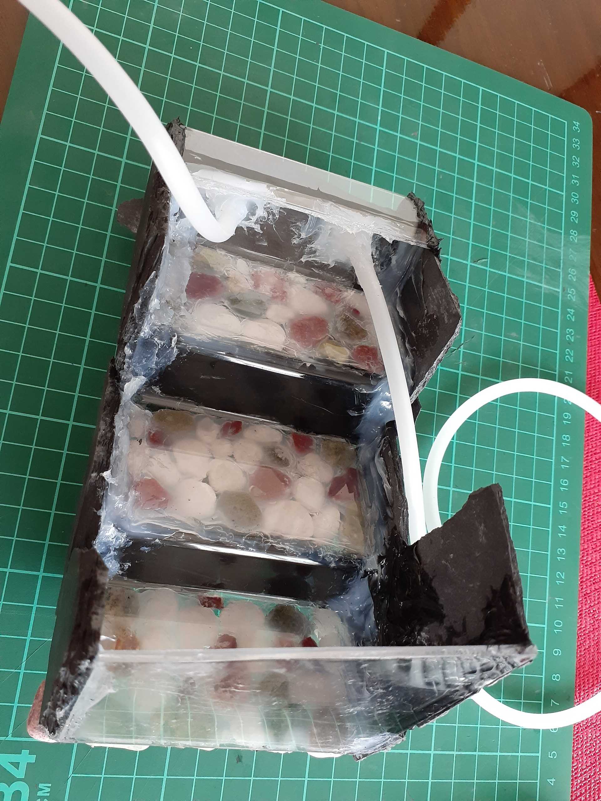 100均にてアクアリウム用品の視察！！👀🔍ゆーいちの水槽部屋♬🐠