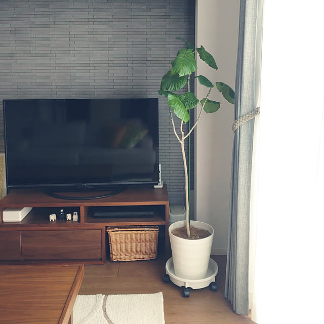 テレビボード横にグリーンを追加*Simple living & home+°