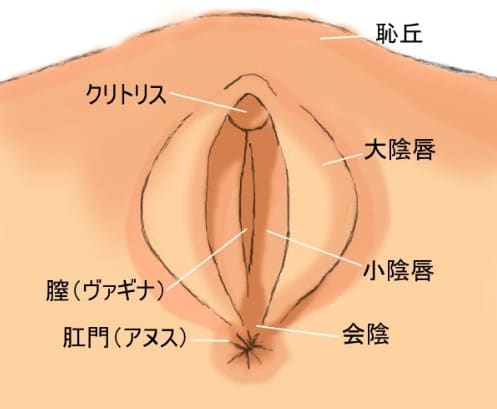 女性が気持ちいいと感じる上手な手マンのやり方やコツを徹底解説！｜駅ちか！風俗雑記帳