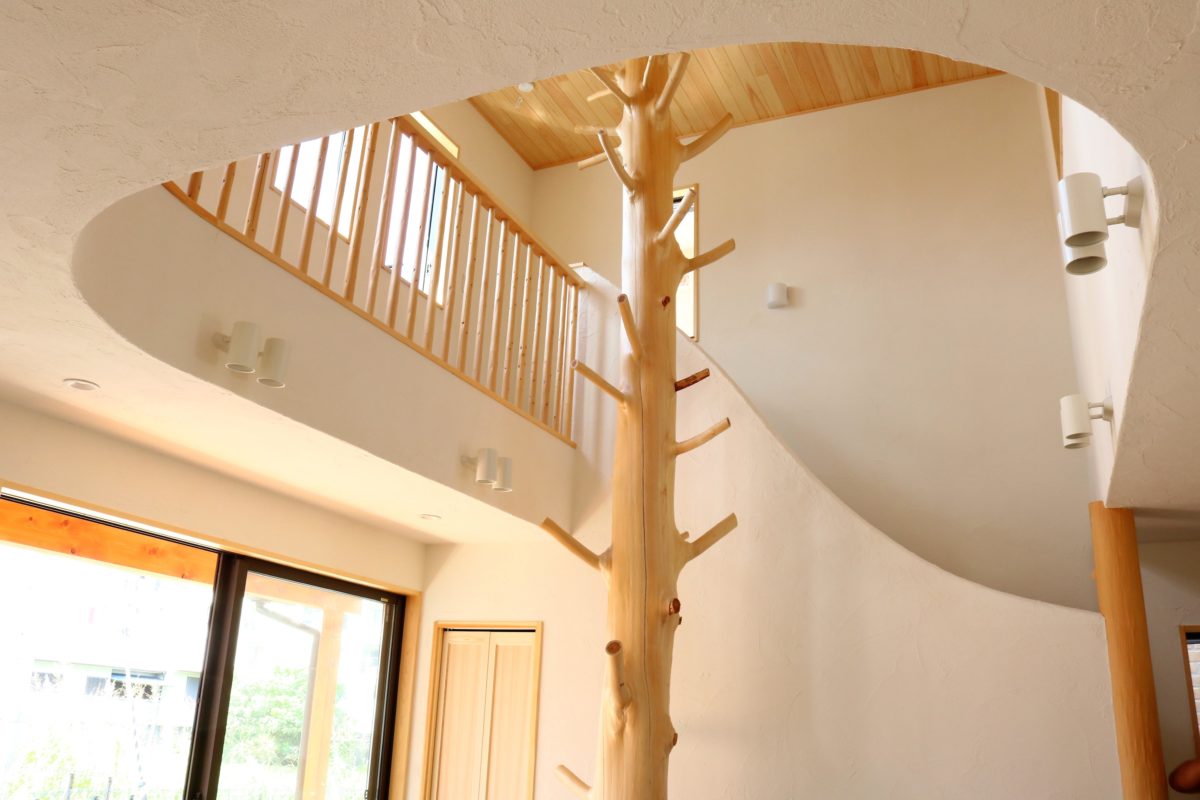 リビングにおすすめの観葉植物シンボルツリー植物図鑑HanaPrime ハナプライム