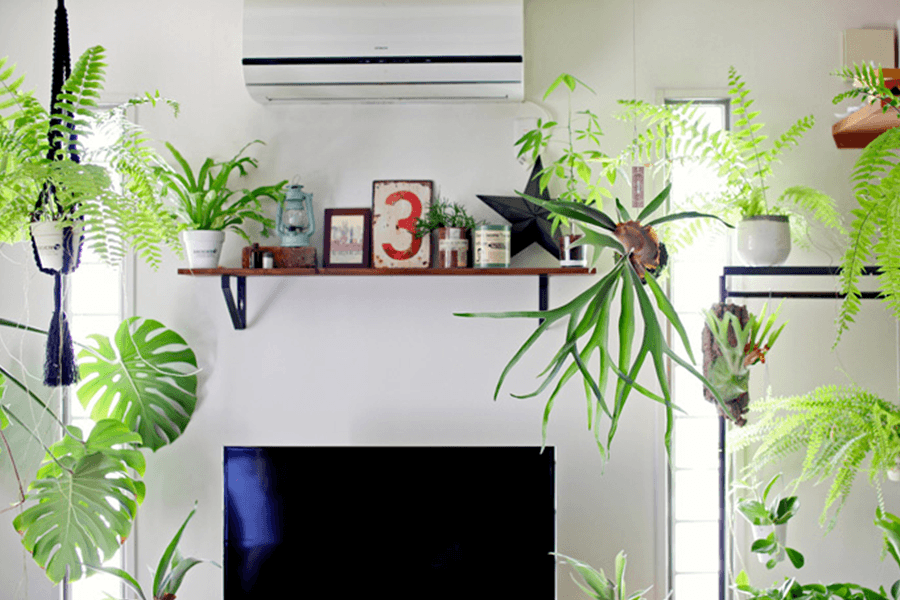 アイアンカーテンレール クラシック・天井付けカーテンレール激安通販店スタイルダート