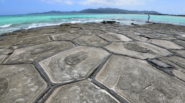 グルメ・お土産などに使えるクーポン付き久米島キャンペーン 東京発｜沖縄旅行ツアーを予約するならJALで行く格安旅行のジェイトリップ