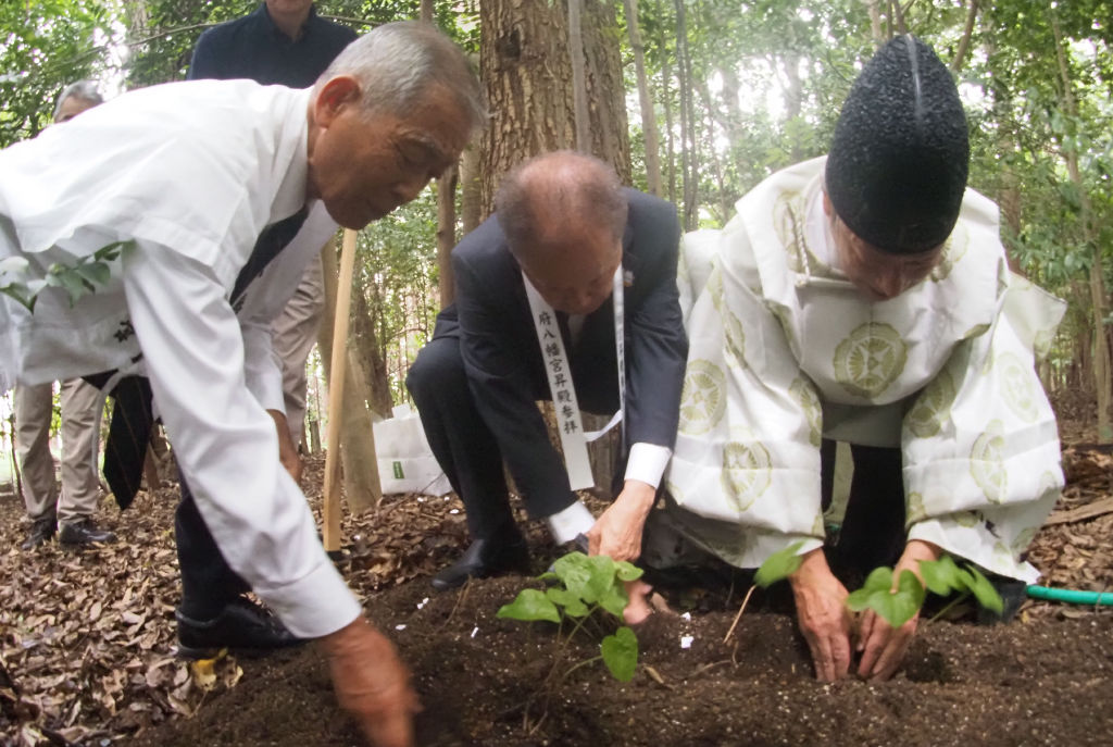 磐田市の府八幡宮(磐田市中泉)に参拝した話 | みどりの御朱印・街ぶら時々競馬つづり