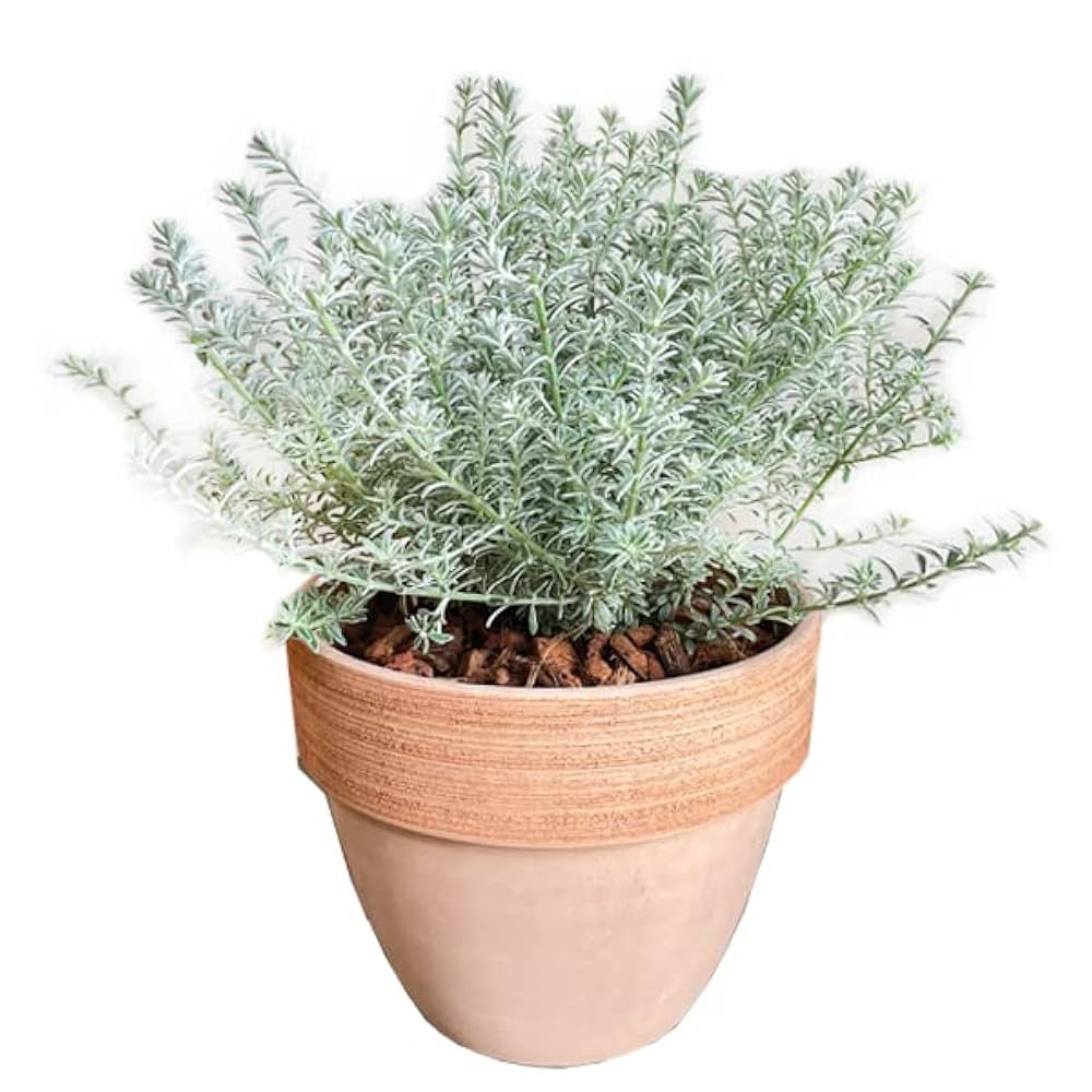 ウッドポット22 5051 ガーデニング 花壇 ガーデニング用品 庭 花 植物 植木鉢 プランター おしゃれ 楽天市場ランキング1位受賞ガーデニング 農業 植木鉢 プランター プランター デッキ縁台プランター2個組幅45 DEP-2LB45プランター 木製プランター ウッドデッキ 庭