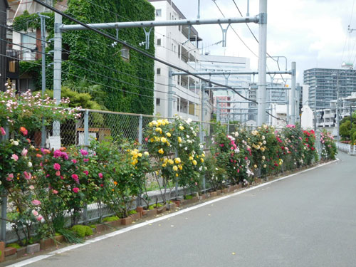 西国立駅にあった立川機関区の痕跡を探る | 俺の居場所-まち記録サイト