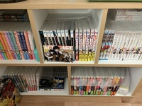 改 本棚のホコリよけは100均で！本をほこりや虫から守って、掃除をラク～にしよう！ - ゴリラスーパー大暴れ