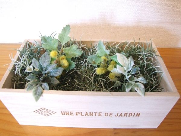 セリア グリーンマット&バケツでオシャレな小物入れ♡ 暮らしニスタ