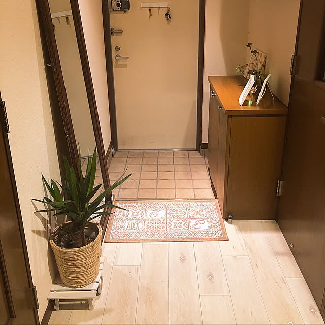 玄関に窓は必要？つけられなかった我が家はこうして採光。実際の明るさを写真で紹介