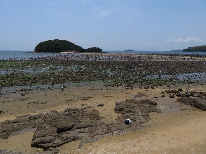 追憶の海上観光 うさぎ島と猿ヶ島は、今いずこ |