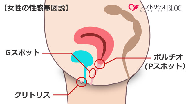 ２点責め 女性用バイブ Ｇスポット責め 電マ