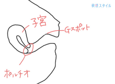 女性が感じる仕組みとは？オーガズムとスキーン腺の関係について解説 | コラム一覧｜