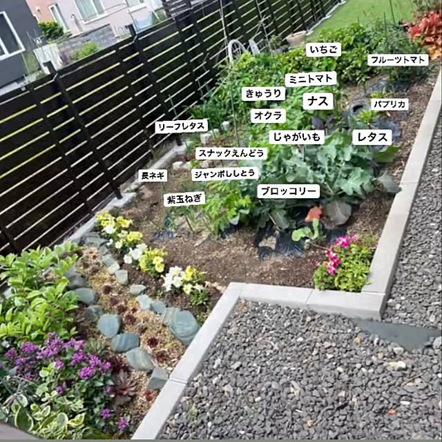 おしゃれでフォトジェニックな菜園'キッチンガーデン'を作ろう！GardenStoryガーデンストーリー