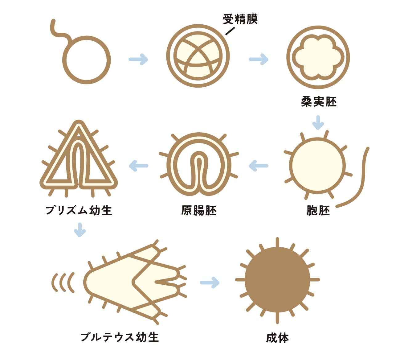 精液が赤くなった、精液に血が混じる | 日本泌尿器科学会 (The