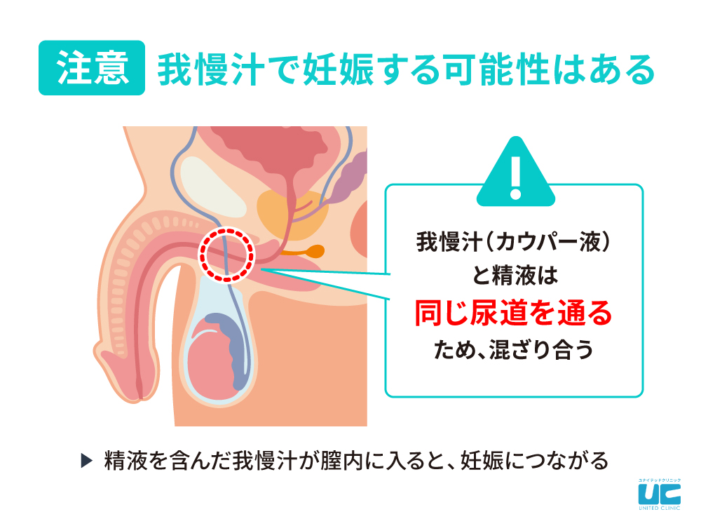 ガマンじる/おなきん中 | 写真で一言ボケて(bokete)