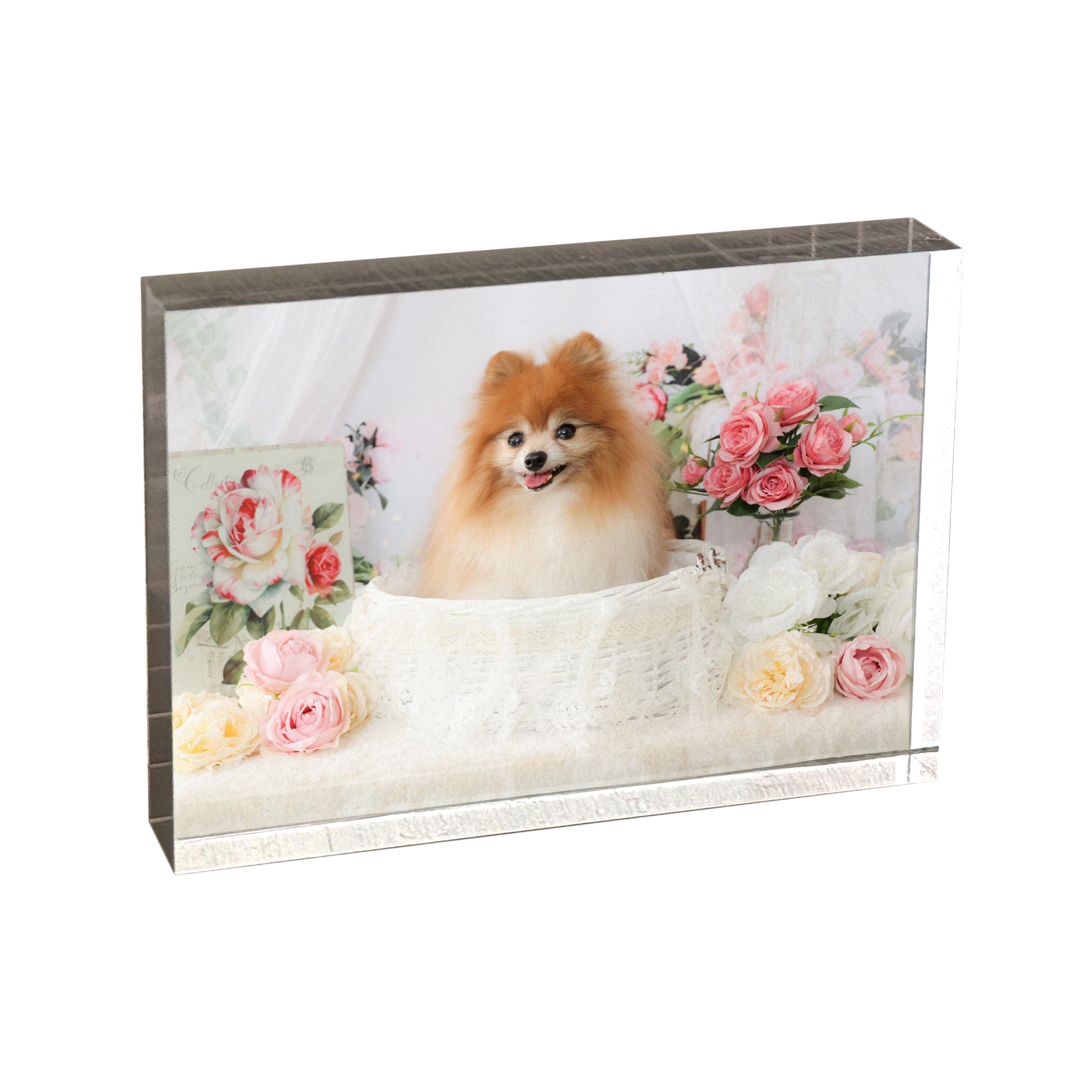 アクリルブロック イラスト キャラクター インテリア おしゃれ かわいい 動物 シンプル きつね 狐 花柄 綺麗 おすすめ 個性的 人気イラストレーター クリエイター 絵師 オリジナル デザイン グッズ タイトル：COLORS：Fox and Flowers 作：水無月りいiPhoneケース