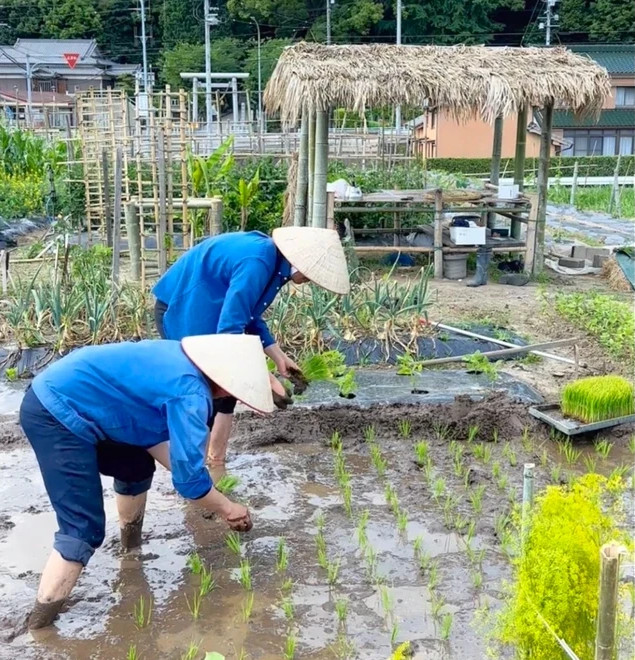 愛知出稼ぎ求人】寮付きの仕事で仕事と住まいを同時提供|住み込み求人ナビ(スミナビ)