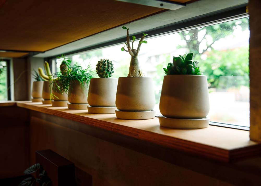 ベランダガーデニングをマンションで楽しむ秘訣と諸注意KENSOマガジン