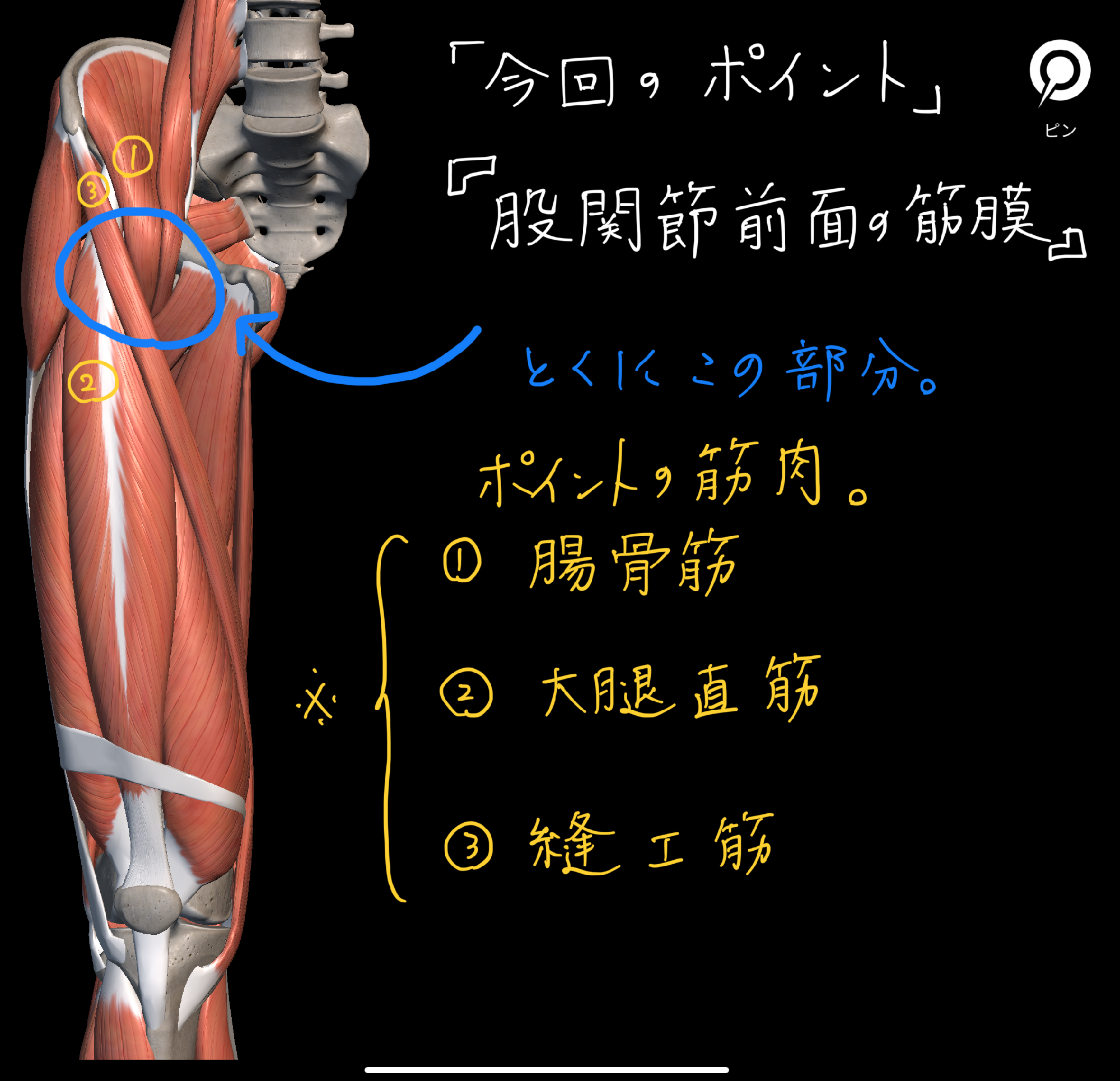 鼠径部が痛い時、ココチェックしていますか？｜安部元隆