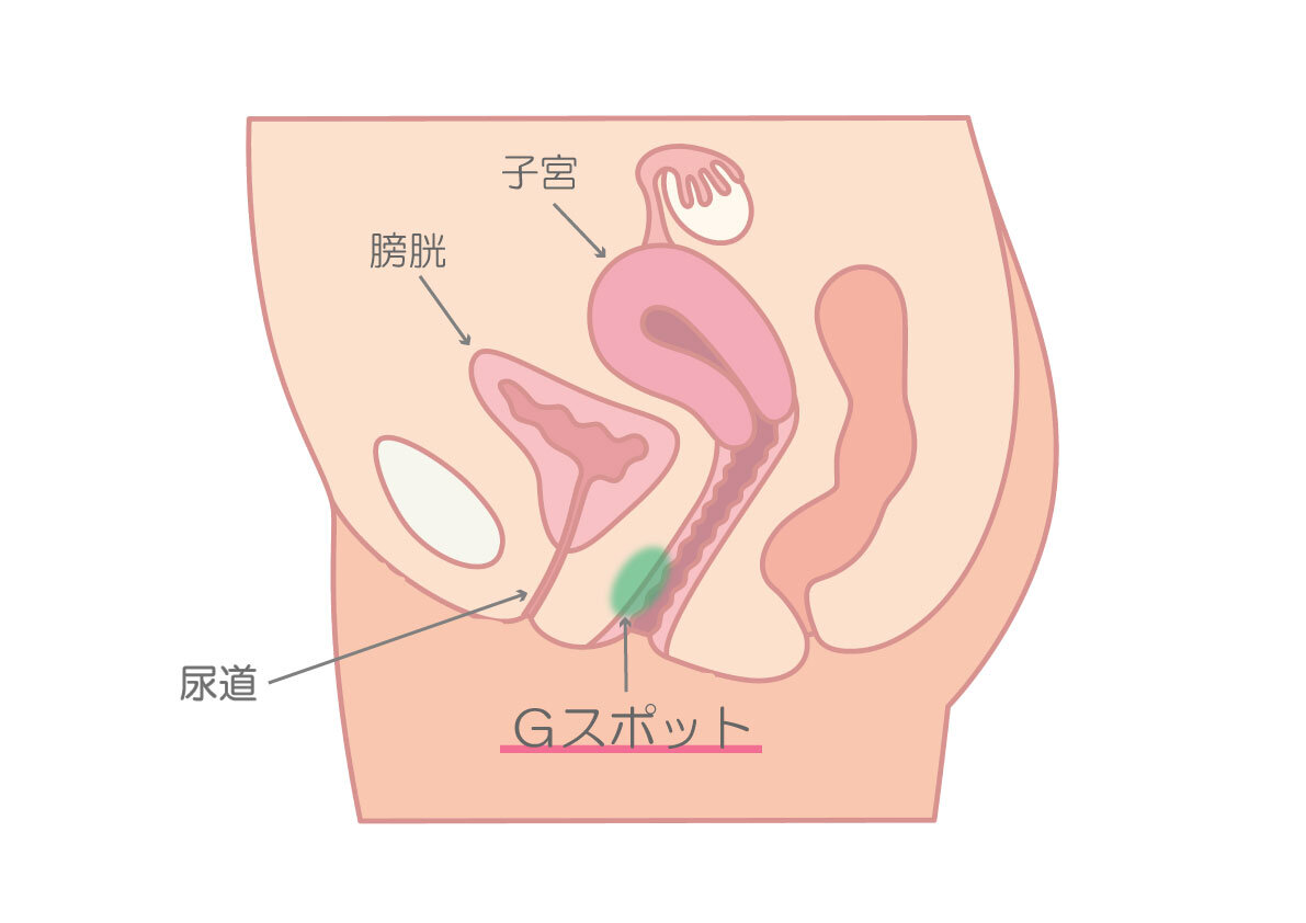 ディルドでセルフ潮吹？自分で潮吹くやり方 - 夜の保健室