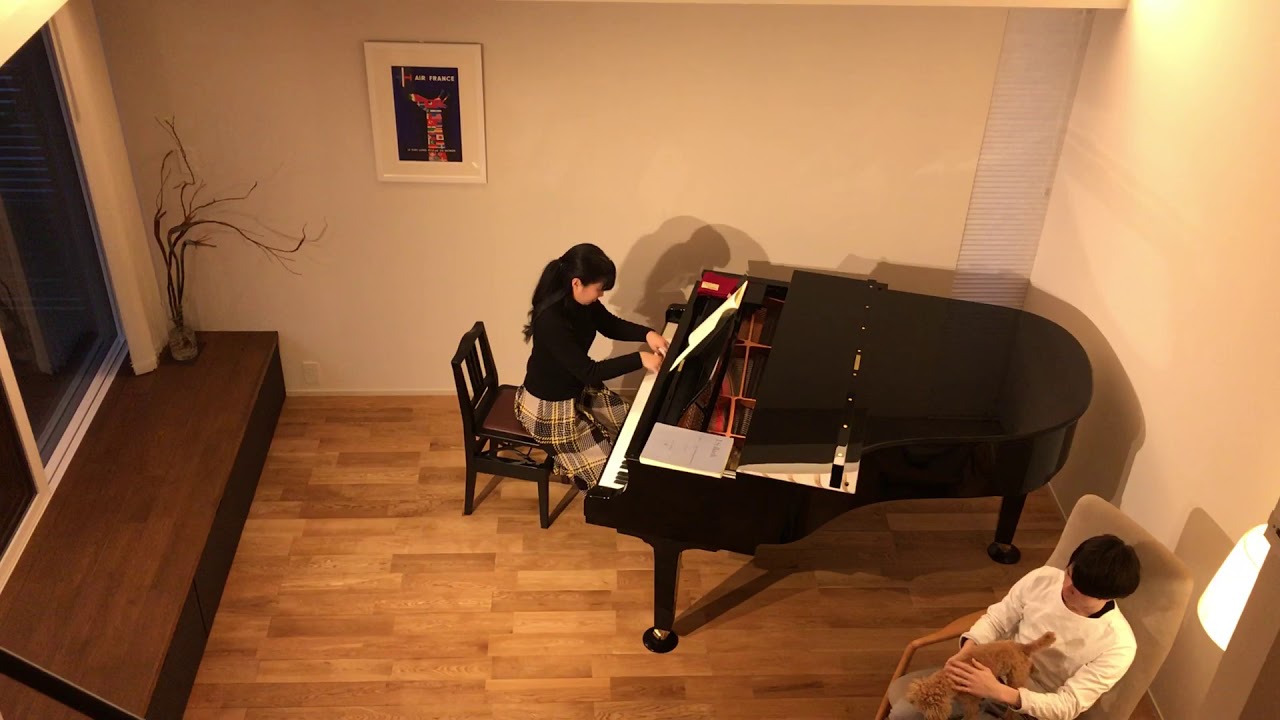 マンションのピアノ教室 防音＆騒音対策 部屋全体 – 東京防音オンラインストア