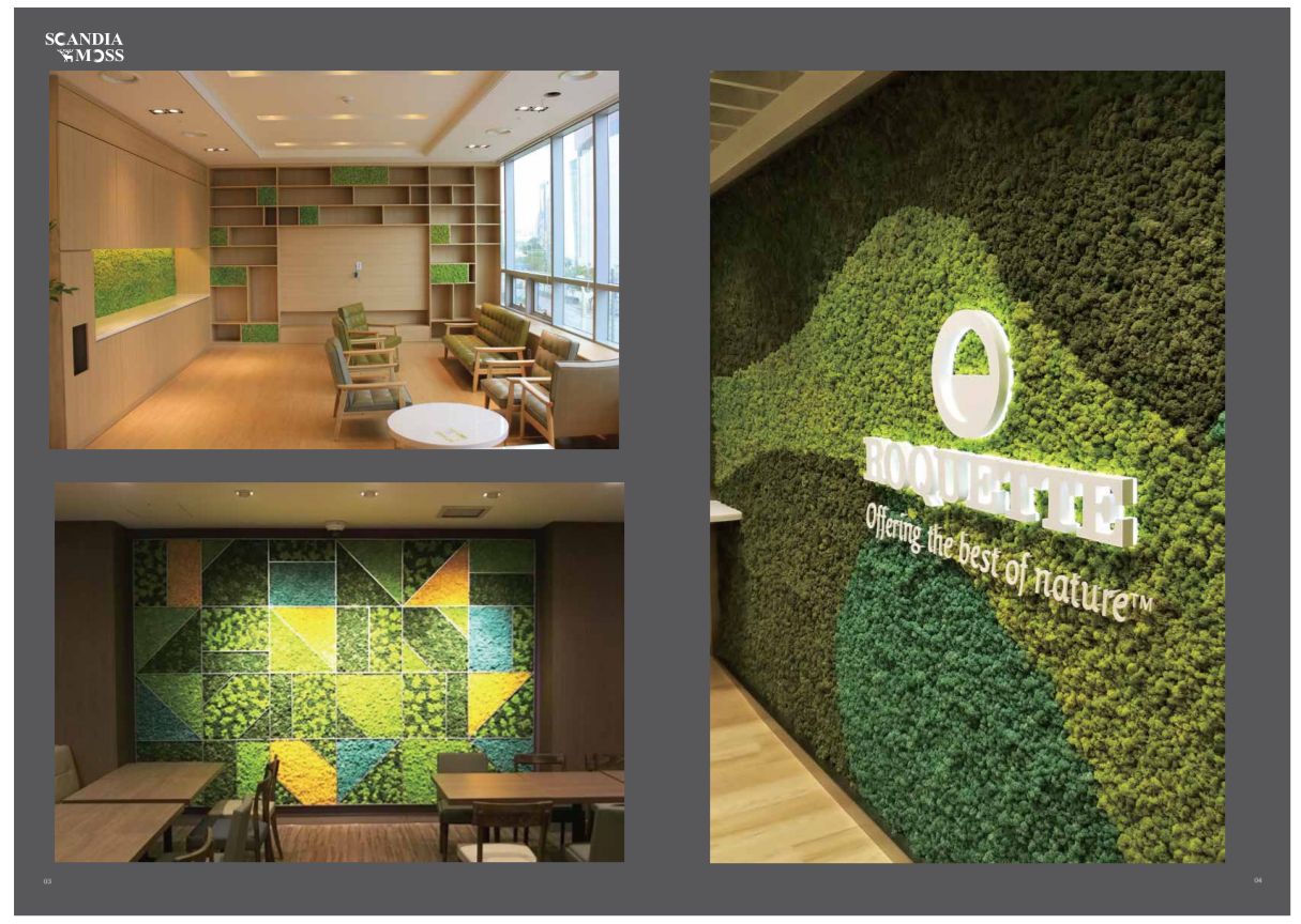 オフィスグリーンのおしゃれなデザイン事例メリット・デメリットも解説コラムTOPPAN expace