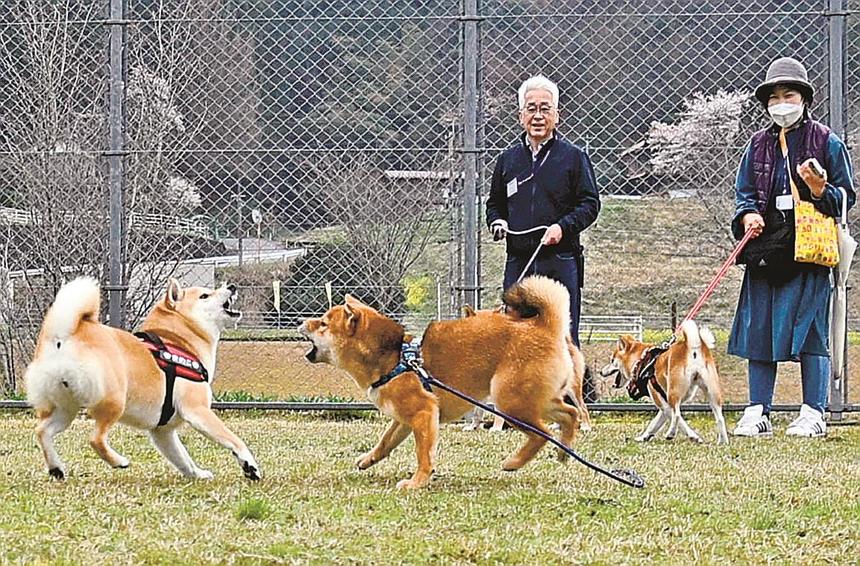 北斎若き日の作品150点 益田市の県立石見美術館で企画展 | 中国新聞デジタル