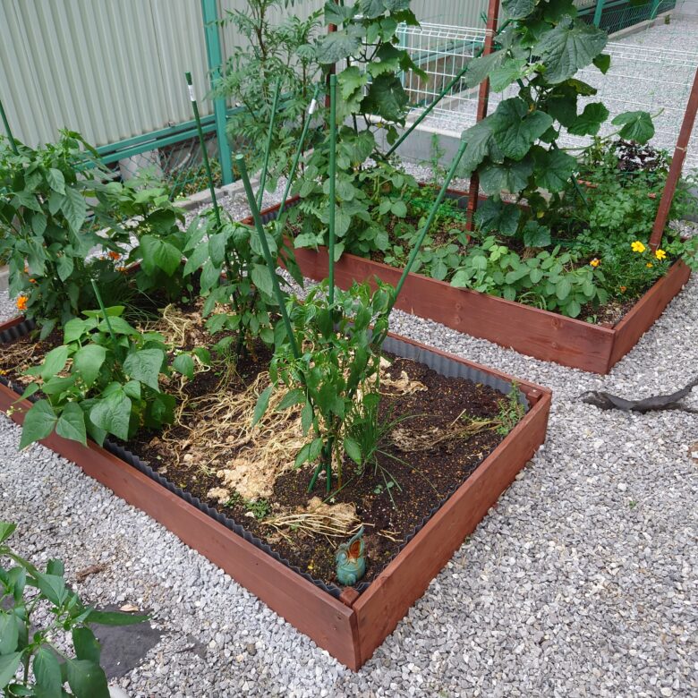 デザイン的な家庭菜園：千葉のお庭・外構専門店お得な情報更新中スペースガーデニング