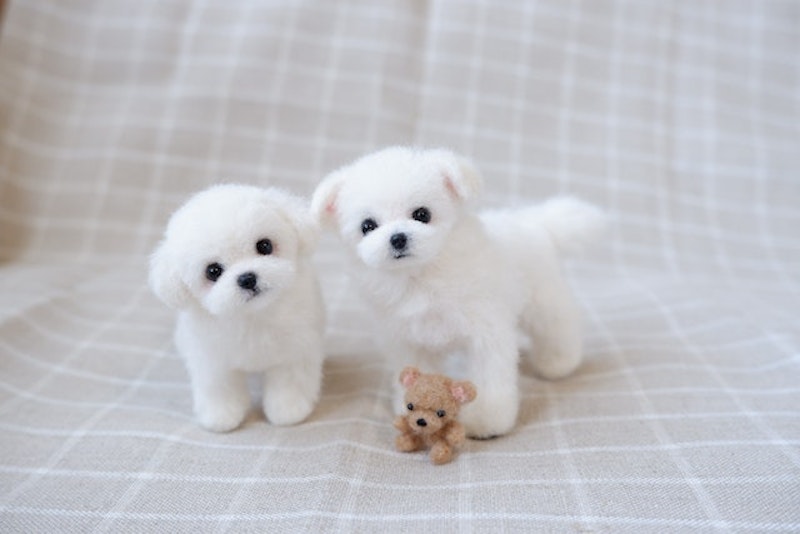 1490_newサンプル