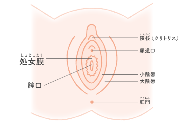 女性が中イキしやすくなる方法やコツからできない原因まで解説 | コラム一覧｜  東京の婦人科形成・小陰唇縮小・婦人科形成（女性器形成）・包茎手術・膣ヒアルロン酸クリニック