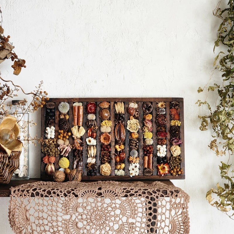 フランスアンティークインテリア 植物標本入りフレーム.6 アンティークフレーム