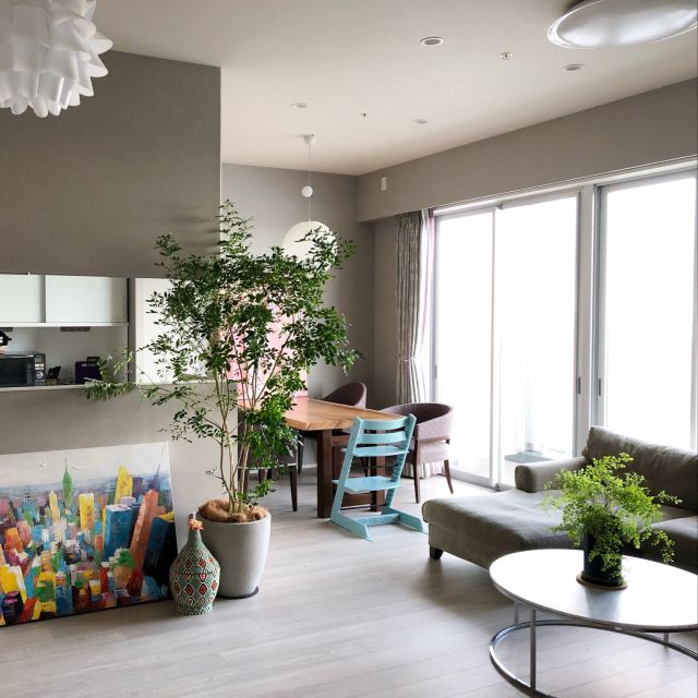 観葉植物のおしゃれな飾り方 初心者向け簡単な飾り方株式会社ハクサン花や植物、園芸資材を取扱う花卉園芸界の総合商社 種苗会社