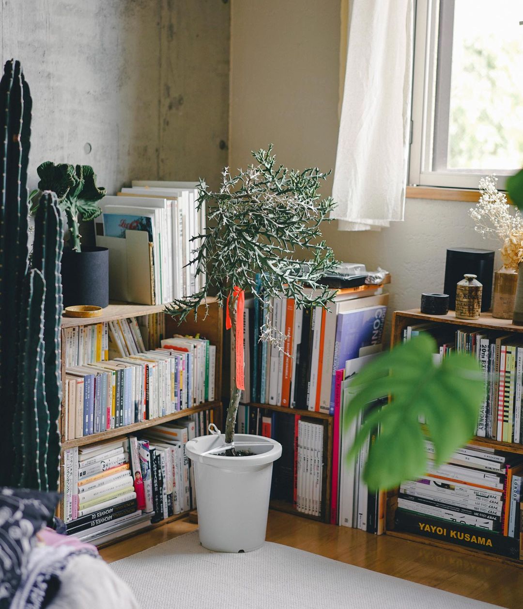 角部屋の良さを生かす光に満ち、風が抜ける心地良い空間づくりToKoSie ー トコシエ