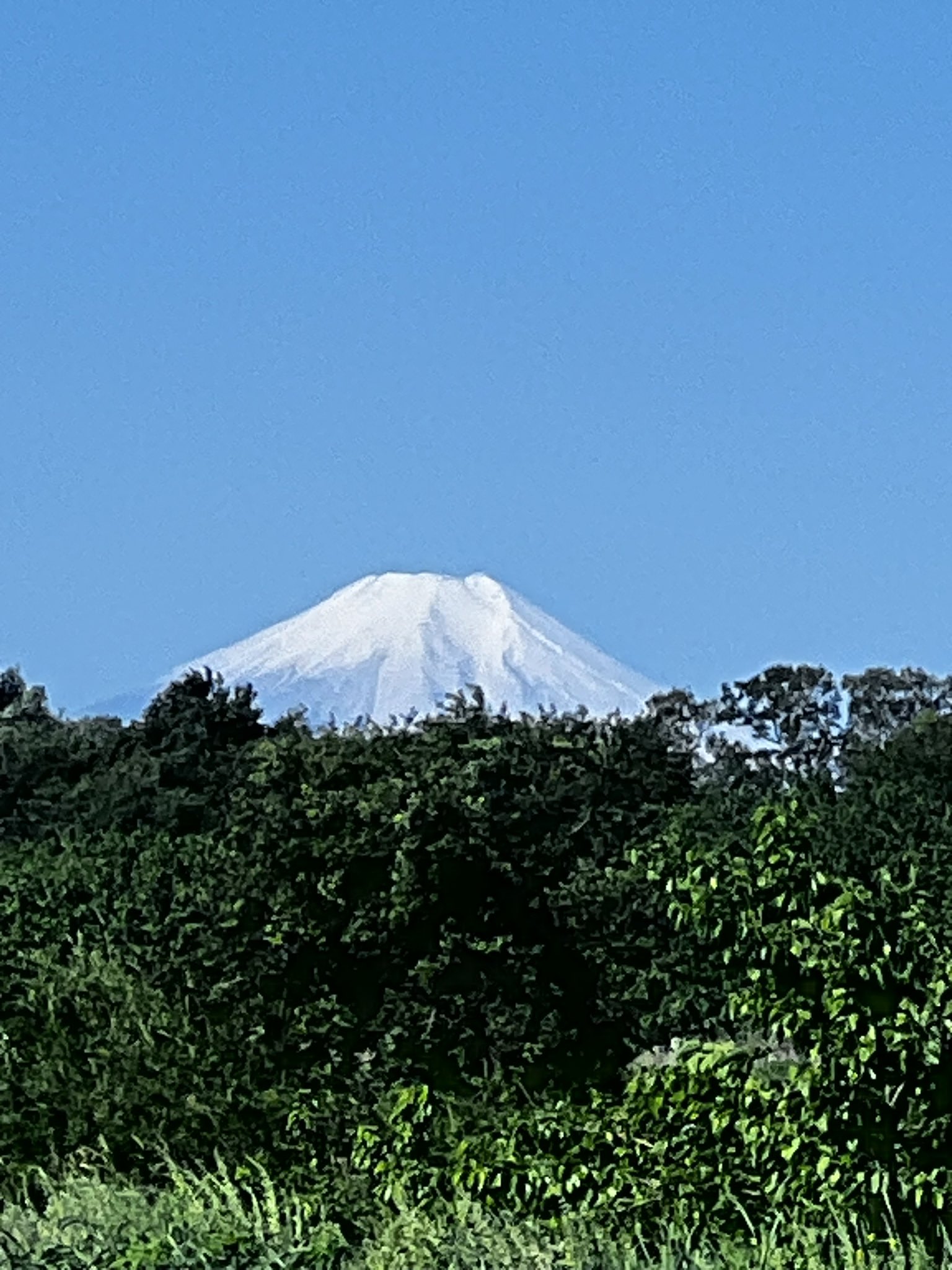 メンズエステ体験談 デトックス五郎の揉まれん坊！万歳 - らんぷ川越店 |