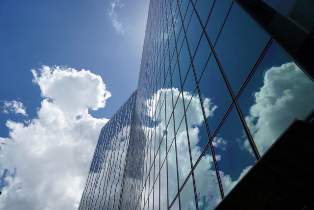 目隠しウォールディーズガーデン