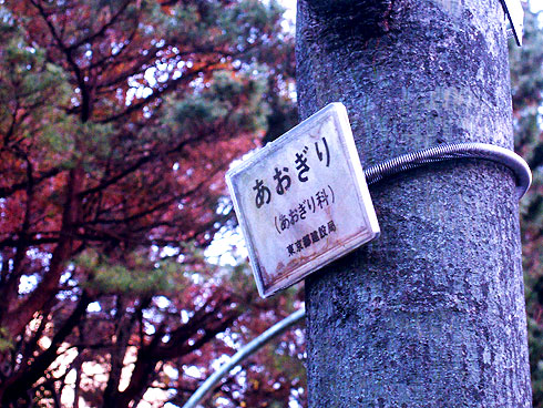 ミッチャクロン マルチ 1L・約12.5〜16.7平米使用可能密着プライマー : 壁紙屋本舗 壁紙・クッションフロア販売サイト - 通販 -Yahoo!ショッピング